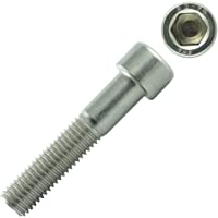 15 tornillos cilíndricos M6 x 25 con hexágono interior DIN 912- acero inoxidable A2